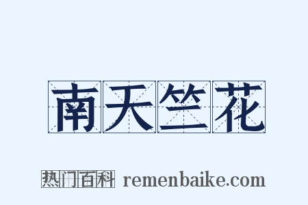 南天竺花是什么意思的图片